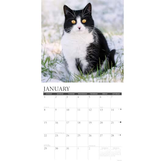 2023 Just Tuxedo Cats Wall Calendar Wall Calendars Michaels